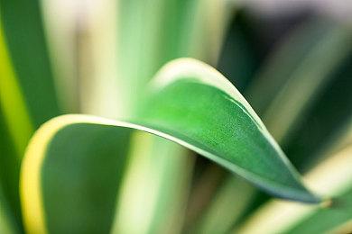 ARPG《Kristala》抢先体验版6月7日推出 化身猫战士